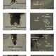 Image for article titled A Switch That Turns Deadly Female Mosquitoes Into Harmless Males
